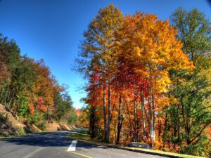 car road in smoky mountains looking at bright fall trees changing for fall