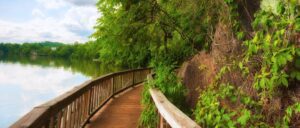 View of Lake Loudoun from wooden walking bridge at Ijams nature center in Knoxville Tennessee