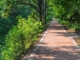 walking trail