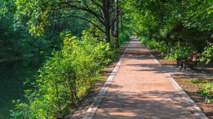 walking trail