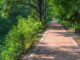 walking trail