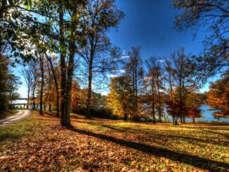 knoxville park by lake on sunny day in fall