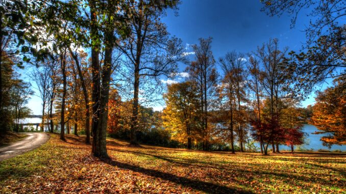 knoxville park by lake on sunny day in fall