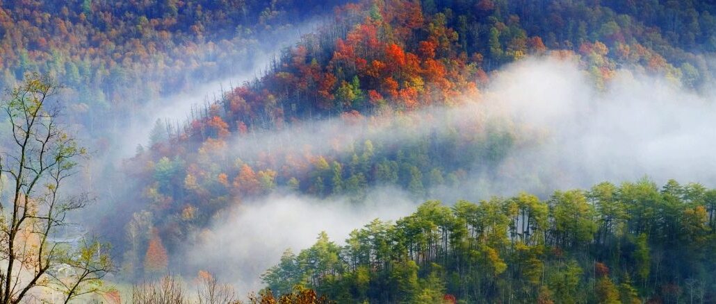 smoky mountains in fall