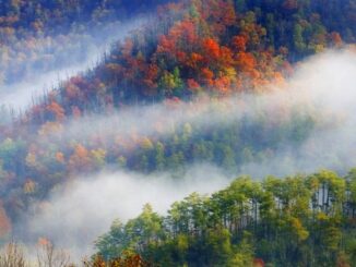 smoky mountains in fall