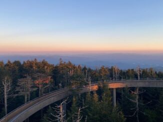 clingman dome