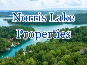 Norris Lake
